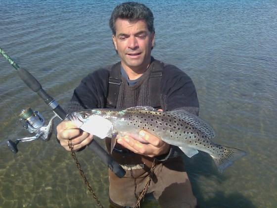 A pretty New Jersey speckled sea trout. I caught this one in October. Some years the speck bite holds into December 