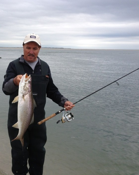 Bill with a nice size spring 2014 weakfish