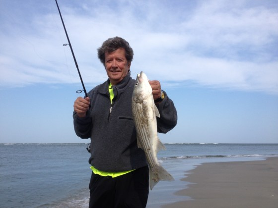 Wayne with a striper he caught while targeting weakfish.  