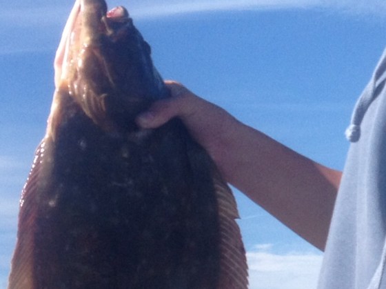 Jon's 26" back bay Summer flounder