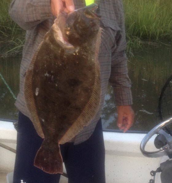 Wayne's 25.5"back bay summer flounder