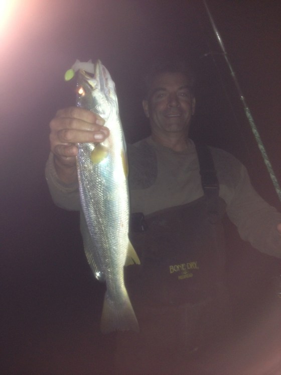 A summer night weakfish before the release. 