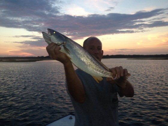 Ed and a beautiful summer weakfish