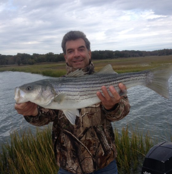 Healthy 30" back water striper