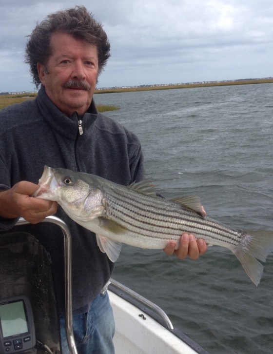 Wayne with his first striped bass of the 2014 fall season