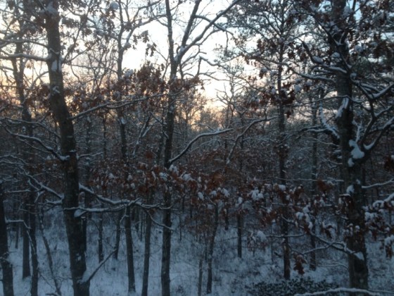 Late muzzleloader season January 7  2015 