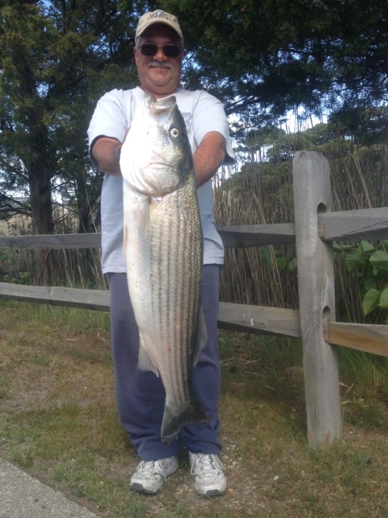 CJ shows today's biggest striper 