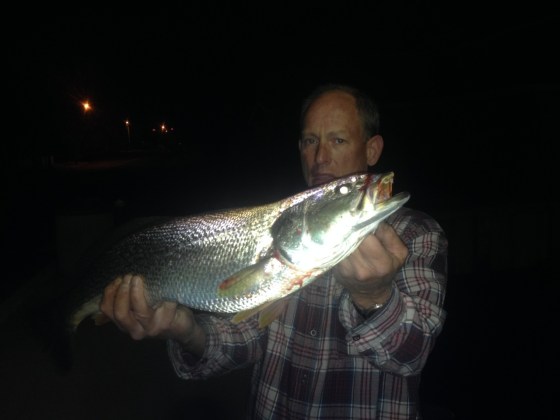 Ed Teise  and his first 2015 tide-runner weakfish 