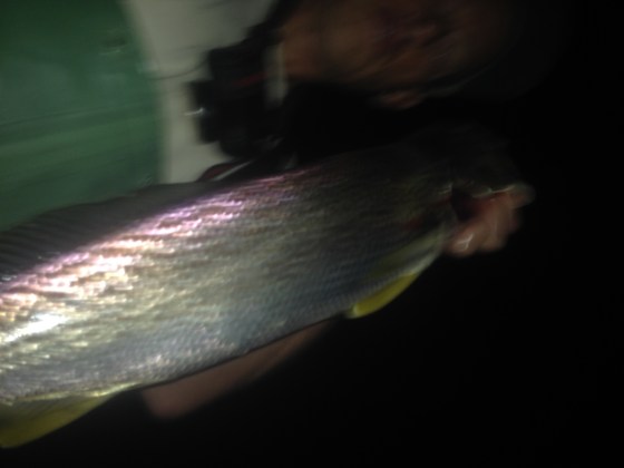 Ed Tiese gets a picture before releasing this August 2015 weakfish 
