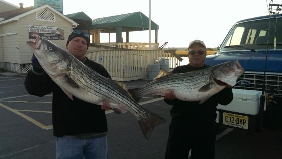 Mark and CJ with a couple of  big Cape May County holiday striped bass. 